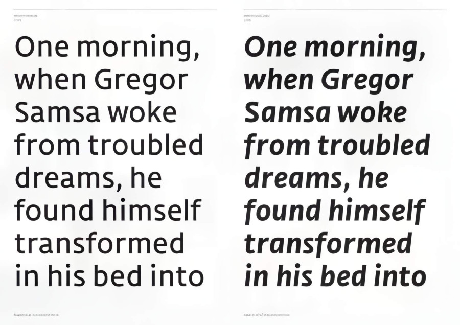 One morning, when Gregor Samsa woke from troubled dreams, he found himself transformed in his bed into …
