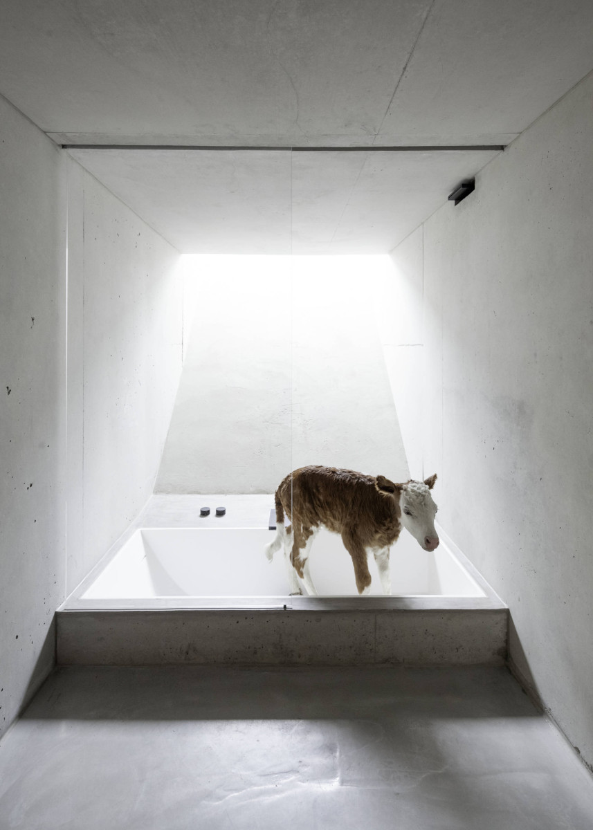 Projekte vom Architekten Peter Haimerl